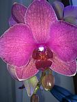     
: 02042012622.jpg
: 14
:	123.3 
ID:	4064399