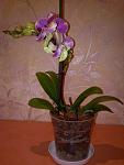     
: 25032012578.jpg
: 41
:	89.7 
ID:	4064407