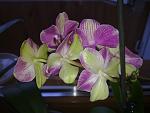     
: 02042012631.jpg
: 33
:	95.7 
ID:	4064408