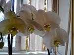     
: 08032012501.jpg
: 16
:	87.1 
ID:	4064410