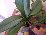     
: DSC02229.jpg
: 56
:	97.3 
ID:	4065398