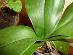     
: DSC02231.jpg
: 55
:	178.2 
ID:	4065404