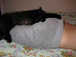     
: IMG_1874.jpg
: 25
:	127.6 
ID:	4067558