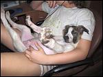     
: IMG_8334.JPG
: 51
:	68.0 
ID:	4068701