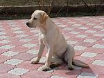     
: DSC05350.jpg
: 53
:	168.7 
ID:	4069239