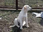     
: DSC05337.jpg
: 48
:	302.1 
ID:	4069241