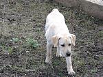     
: DSC05349.jpg
: 53
:	261.5 
ID:	4069245