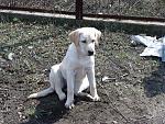     
: DSC05336.jpg
: 51
:	301.2 
ID:	4069252