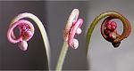     
: Untitled-1cdf.jpg
: 20
:	41.8 
ID:	4069344