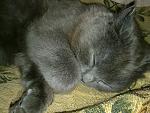     
: 02042012233.jpg
: 8
:	166.4 
ID:	4069818