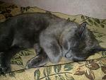     
: 02042012235.jpg
: 8
:	136.0 
ID:	4069819
