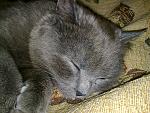     
: 02042012236.jpg
: 8
:	265.4 
ID:	4069821