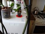     
: DSC02242.jpg
: 47
:	76.7 
ID:	4071654
