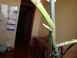     
: DSC02239.jpg
: 51
:	69.8 
ID:	4071655