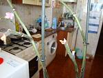     
: DSC02243.jpg
: 44
:	99.2 
ID:	4071656