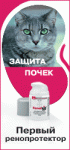     
: 80154172.gif
: 14
:	14.0 
ID:	4071880