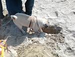     
: Фото0313.jpg
: 25
:	273.2 
ID:	4073903
