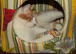     
: DSC_8675.jpg
: 12
:	108.3 
ID:	4074142