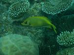     
: DSCN2092.jpg
: 17
:	129.0 
ID:	4076883