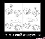     
: 1333085346_prikol_demotivators_28.jpg
: 85
:	46.9 
ID:	4080775