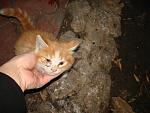     
: DSC07295.jpg
: 55
:	117.2 
ID:	4080874