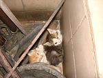    
: DSC07297.jpg
: 54
:	125.3 
ID:	4080877