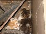     
: DSC07298.jpg
: 51
:	113.6 
ID:	4080878