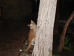     
: DSC07300.jpg
: 39
:	114.2 
ID:	4080886