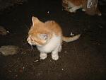     
: DSC07306.jpg
: 31
:	97.0 
ID:	4080915