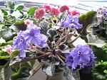     
: IMG_3052.jpg
: 13
:	163.8 
ID:	4083345