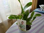     
: DSC02258.jpg
: 34
:	97.4 
ID:	4085650