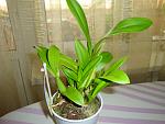     
: DSC02255.jpg
: 42
:	123.4 
ID:	4085653