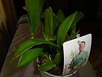     
: DSC02256.jpg
: 26
:	78.7 
ID:	4085874