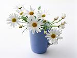     
: flower.jpg
: 5
:	187.5 
ID:	4087690