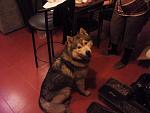     
: 2012-04-05 23.09.00.jpg
: 329
:	92.0 
ID:	4087970
