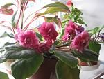     
: IMG_3074.jpg
: 15
:	129.0 
ID:	4088313