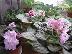     
: IMG_3091.jpg
: 13
:	156.4 
ID:	4088317