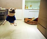     
: y_adf2c1a6.jpg
: 26
:	65.4 
ID:	4089733