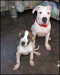     
: IMG_8387.JPG
: 34
:	79.5 
ID:	4092403