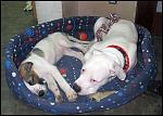     
: IMG_8436.JPG
: 37
:	83.7 
ID:	4092404