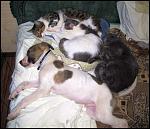     
: IMG_8520.jpg
: 42
:	86.6 
ID:	4092420