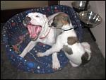     
: IMG_8486.JPG
: 29
:	58.5 
ID:	4092456