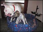     
: IMG_8458.JPG
: 27
:	71.8 
ID:	4092458