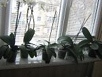     
: IMG_3152.jpg
: 92
:	140.4 
ID:	4092639