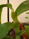     
: DSC02263.jpg
: 25
:	47.0 
ID:	4093858