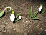     
: IMG_0793.jpg
: 15
:	72.1 
ID:	4095325