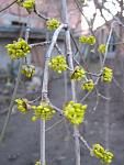     
: IMG_0798.jpg
: 18
:	54.0 
ID:	4095327