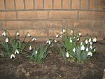    
: IMG_0780.jpg
: 20
:	75.9 
ID:	4095328