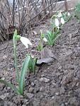     
: IMG_0786.jpg
: 16
:	81.4 
ID:	4095329