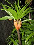     
: IMG_0835.jpg
: 15
:	67.3 
ID:	4095361